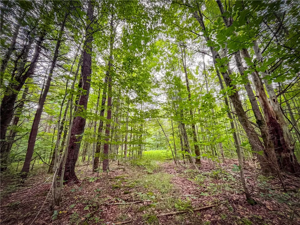 Property at 0 E S Terry Hill Road, Veteran, NY 14864
