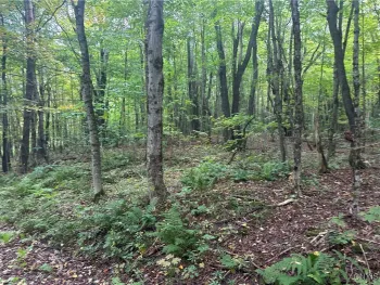 Property at Lot 1 Bice Road, Worth, NY 13659