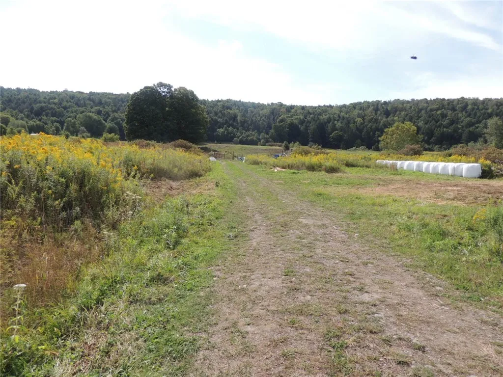 Property at 2292 County Highway 18, Morris, NY 13843