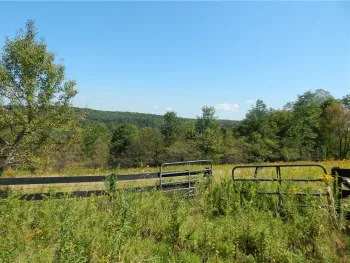 Property at 0 County Route 13, Pittsfield, NY 13411