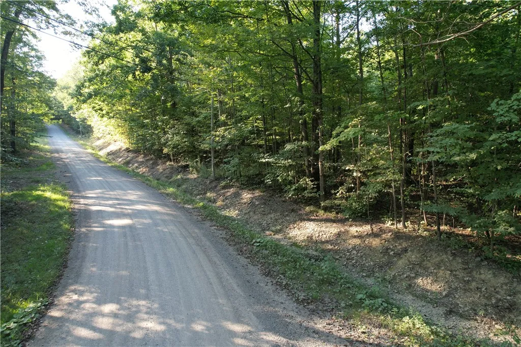 Property at Lot 2 Lockwood Run Road, Baldwin, NY 14902