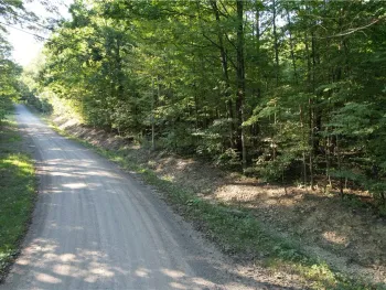 Property at Lot 2 Lockwood Run Road, Baldwin, NY 14902