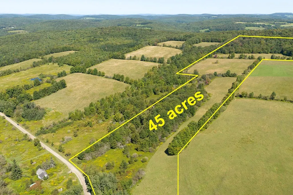 Property at Lot 8 Warren Road, Meredith, NY 13753