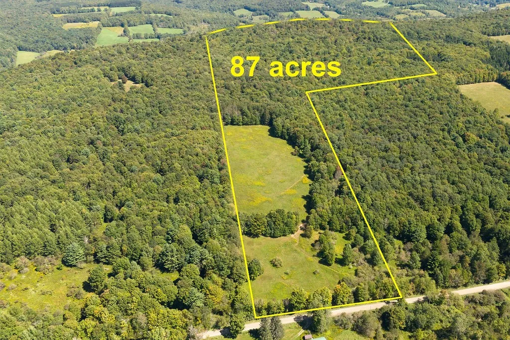 Property at Lot 1 Warren Road, Meredith, NY 13753
