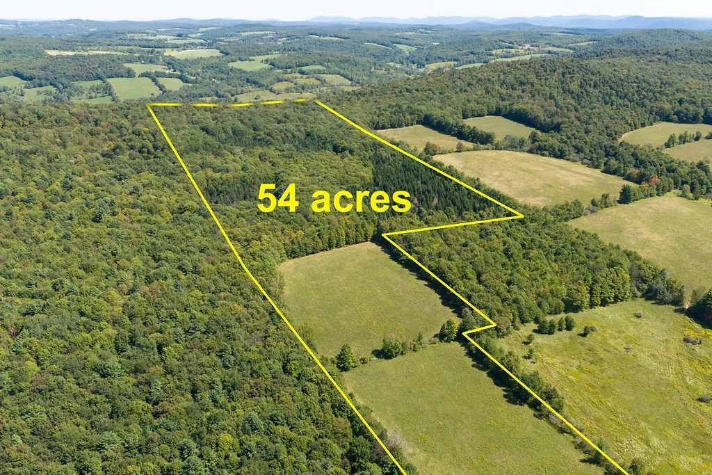 Property at Lot 4 Warren Road, Meredith, NY 13753