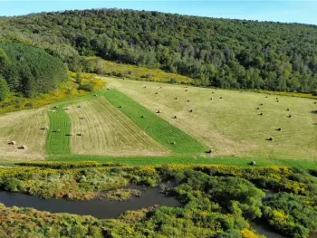 Property at 00 Payne Marsh Road, Berkshire, NY 13736