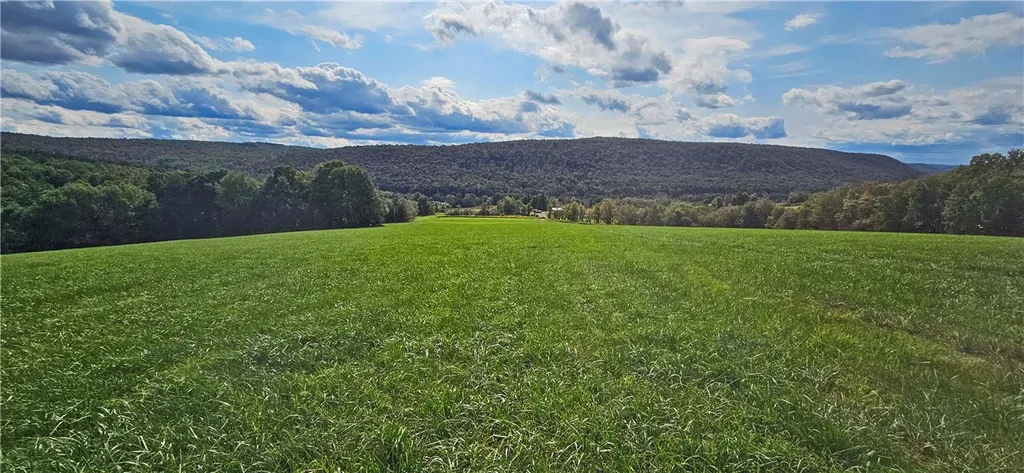 Property at 00 State Highway 28, Meredith, NY 13753
