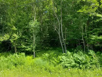 Property at 00 Lot #3 Sequoia Road, Webb, NY 13472