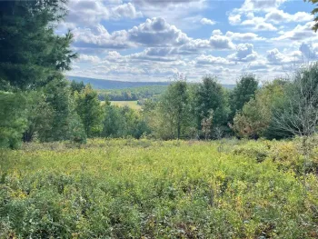 Property at 00 Hubbard Hill Road, Maryland, NY 12116