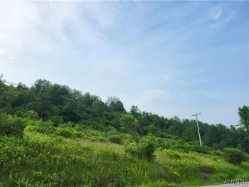 Property at 4221 NYS ROUTE 242, Machias, NY 14101