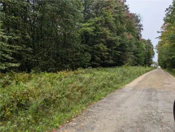 Property at 0 Anderson Street, Hamlin, PA 16740
