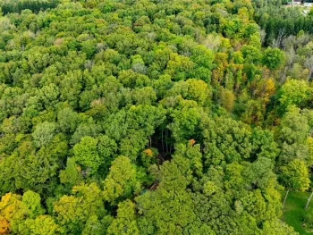 Property at V/L Syler Road, Orangeville, NY 14569