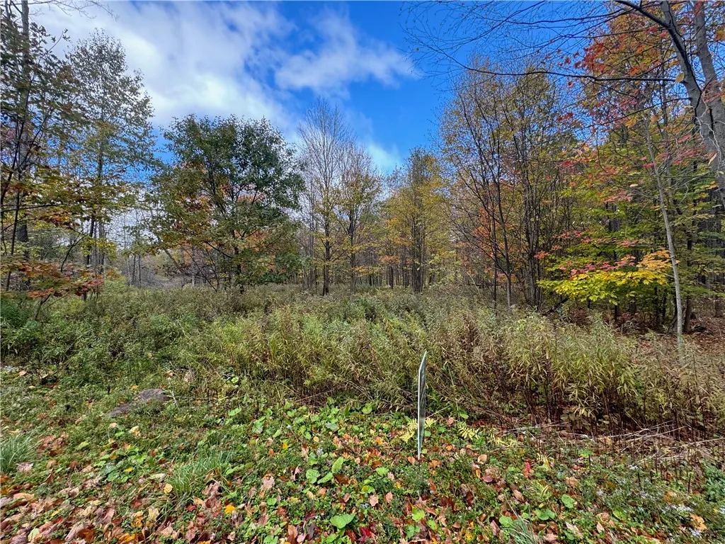 Property at 0 Town Line Road, Butternuts, NY 13776