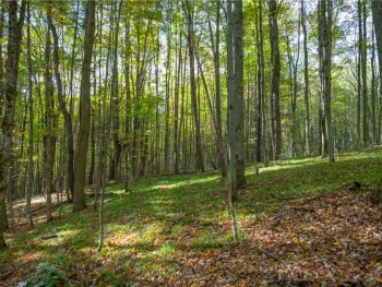 Property at 2454 Scott Road, Kortright, NY 13739