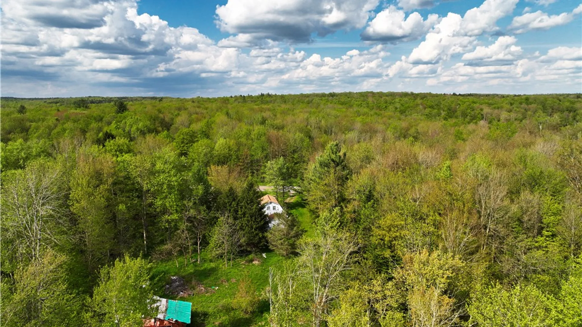 Property at 2886 State Highway 220, Mc Donough, NY 13801 21