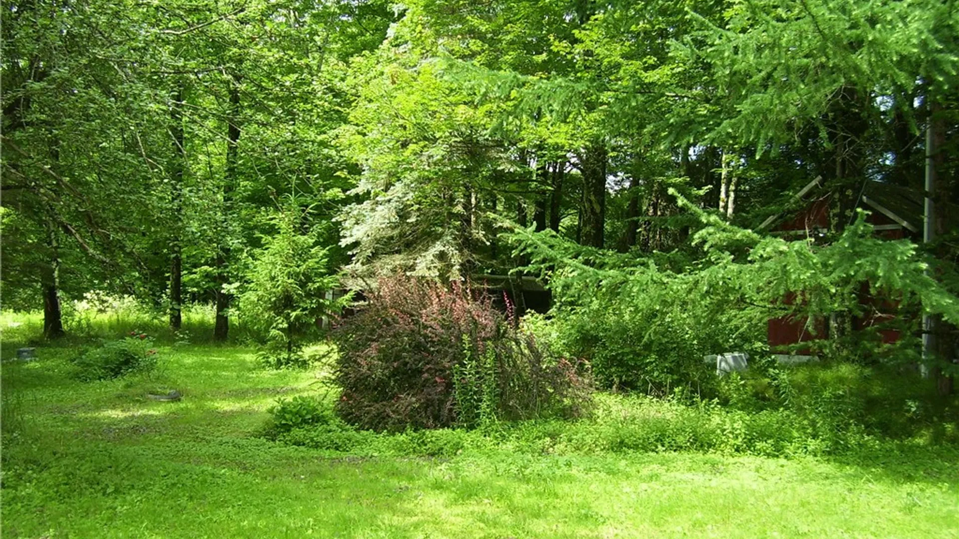 Property at 2886 State Highway 220, Mc Donough, NY 13801 23