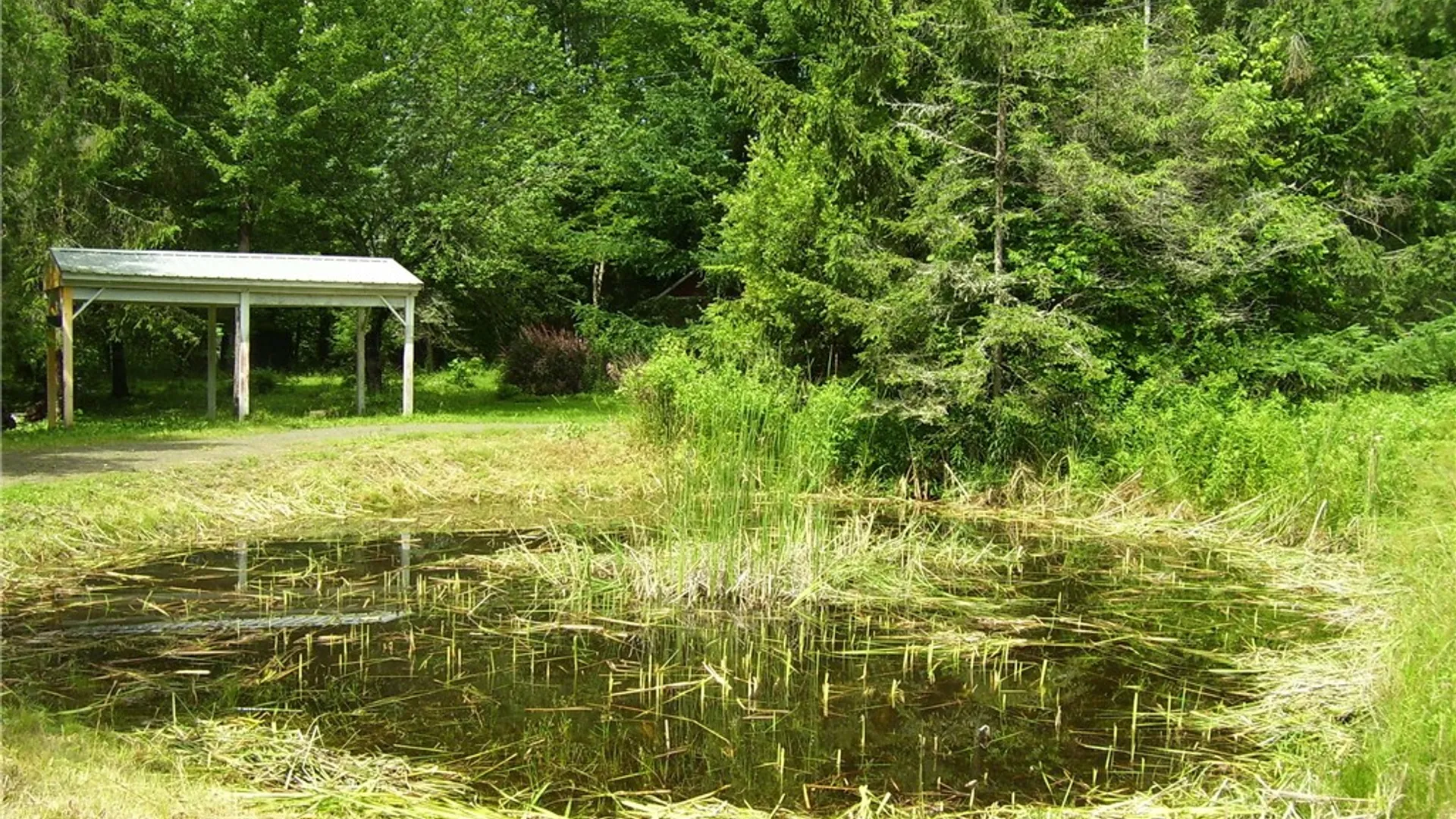 Property at 2886 State Highway 220, Mc Donough, NY 13801 24