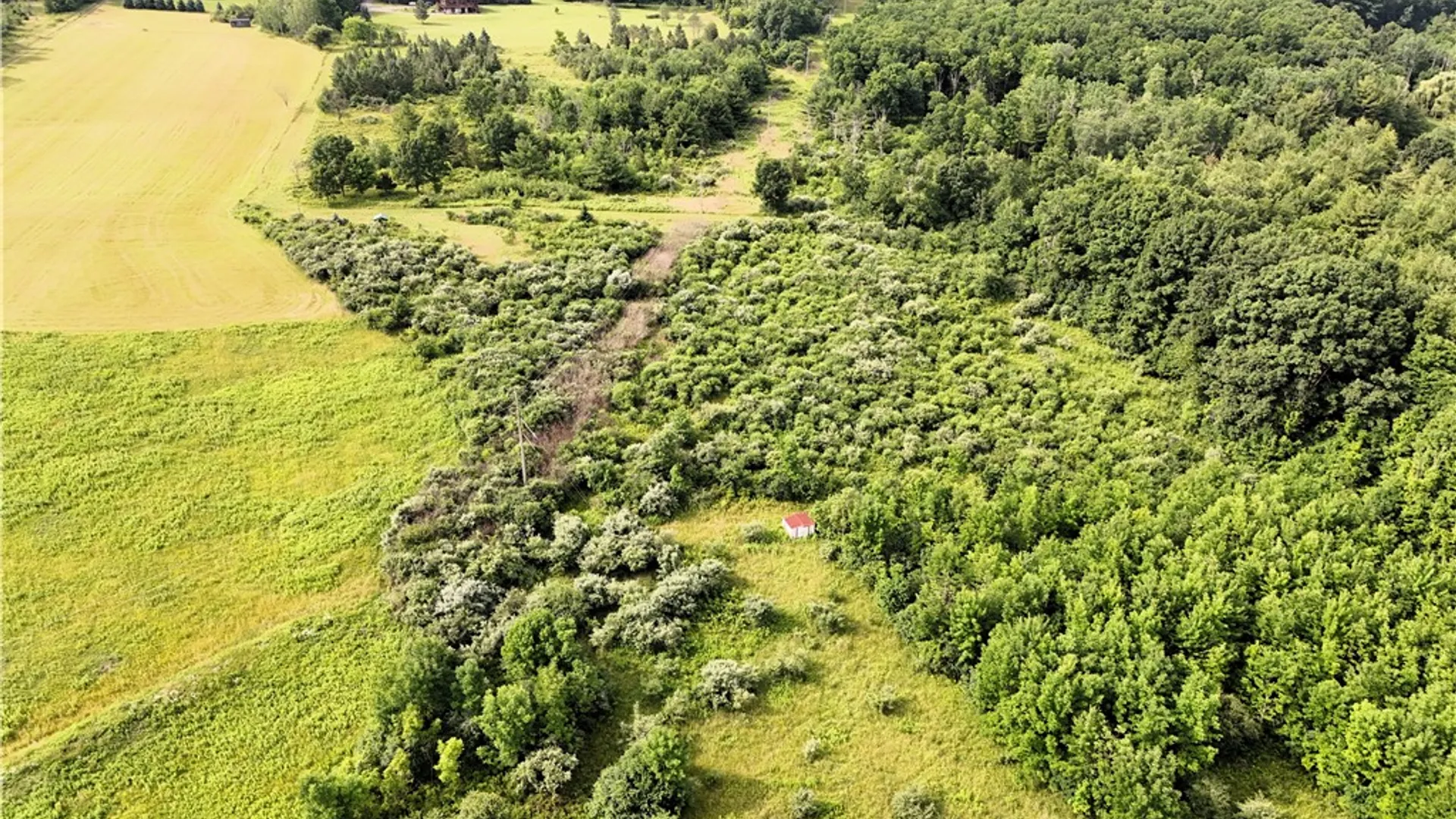 Property at O Grove Springs/ Keuka Highlands Road Road, Wayne, NY 14893 10