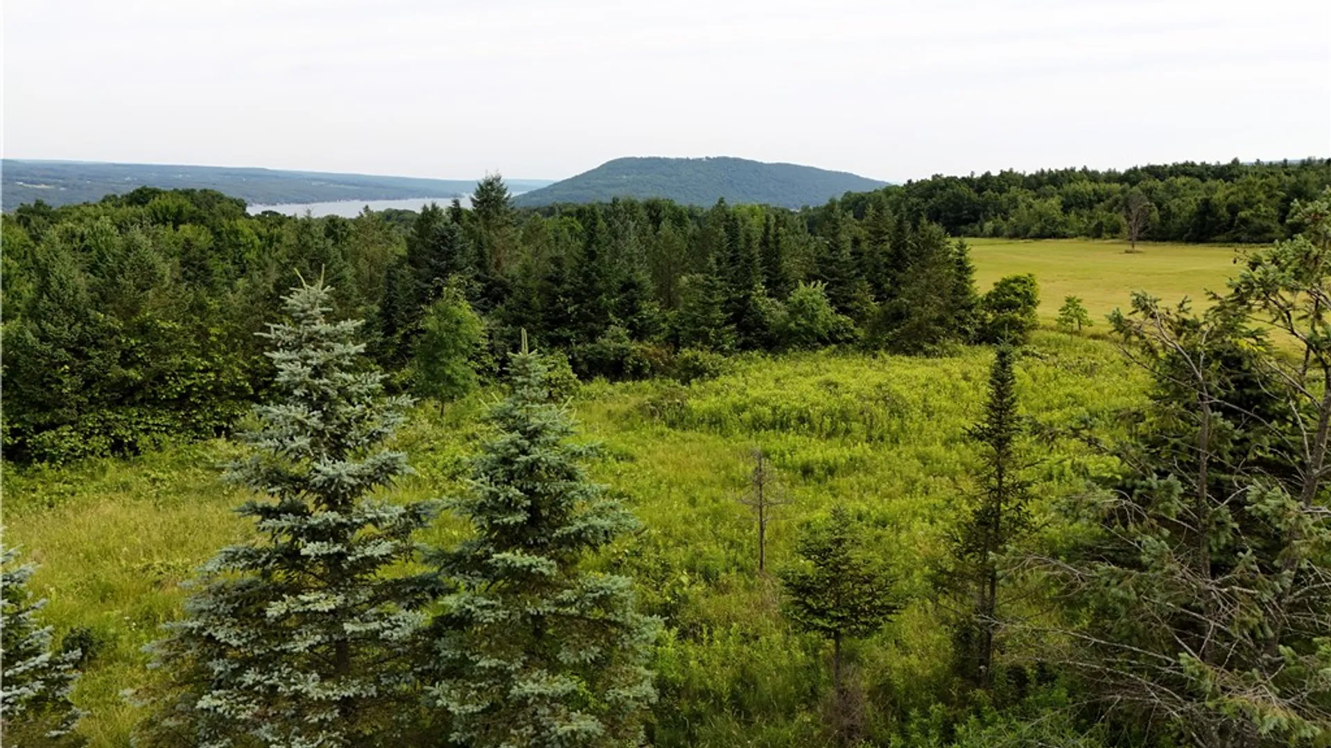 Property at O Grove Springs/ Keuka Highlands Road Road, Wayne, NY 14893 4