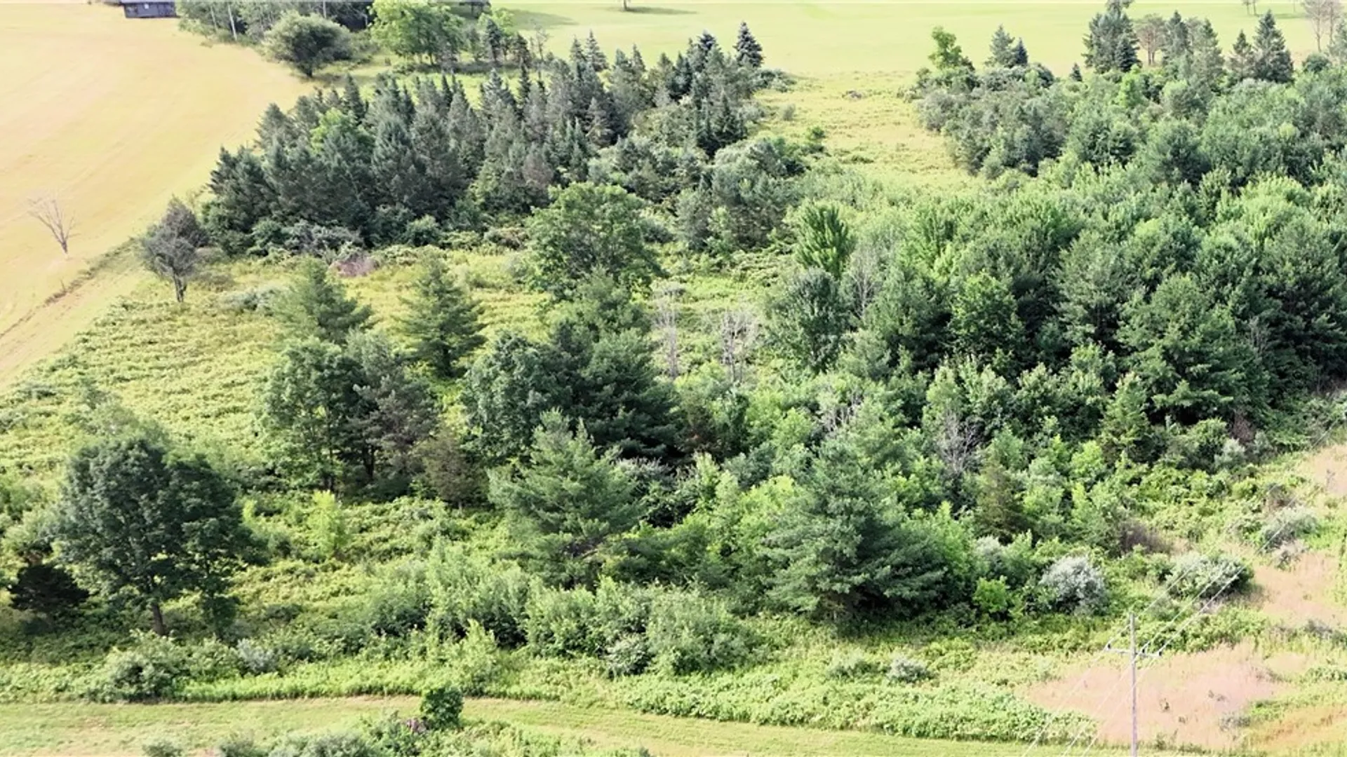 Property at O Grove Springs/ Keuka Highlands Road Road, Wayne, NY 14893 5