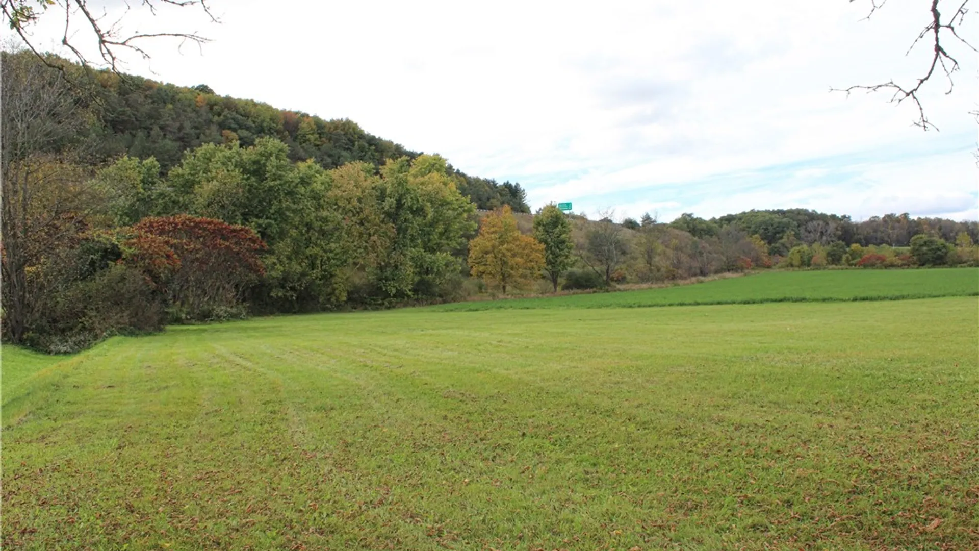 Property at 38 N Dansville Street, Cohocton, NY 14826 18