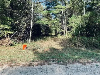 Property at 94 Evergreen Lane, Pitcairn, NY 13648