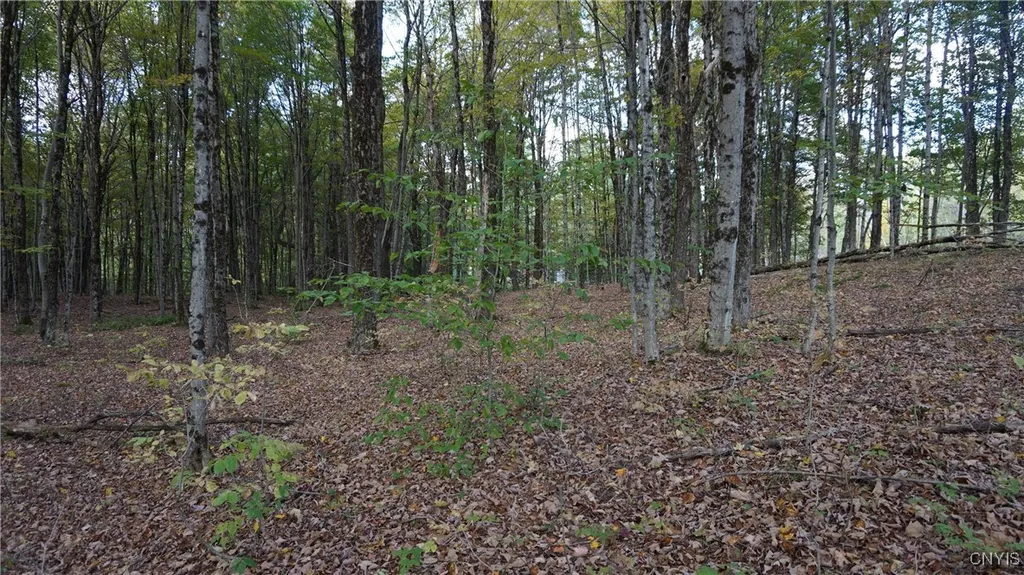 Property at 0 Mc Caw Road, Redfield, NY 13493