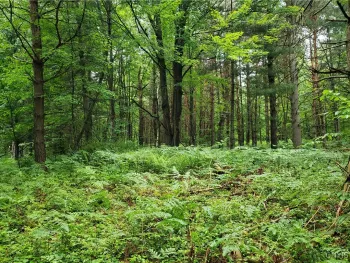 Property at 000 Mattis Road, New Bremen, NY 13367