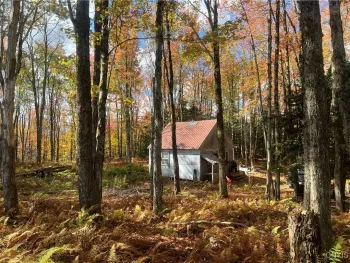 Property at 1860 Fish Creek Road, Lewis, NY 13489