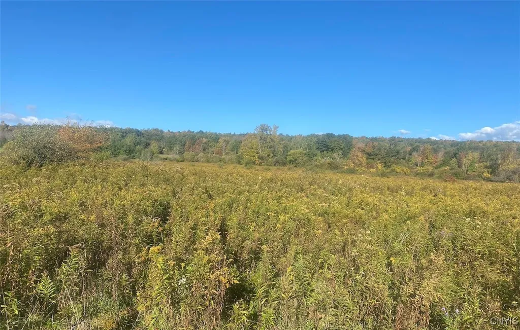 Property at 00 Kempshaw Road, Granger, NY 14836