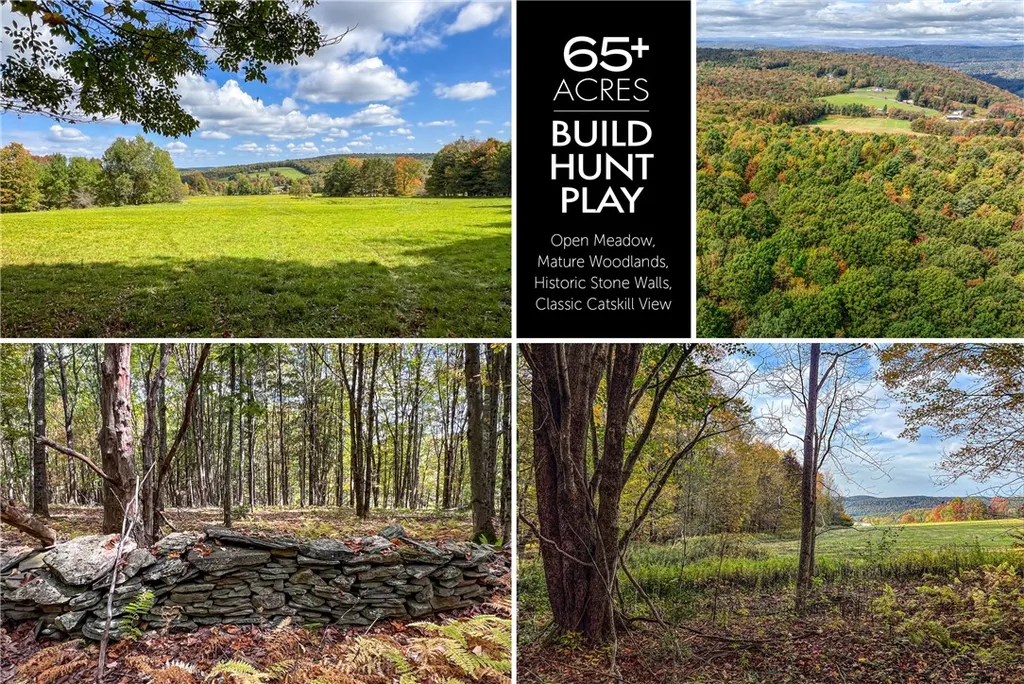 Property at 2359 Jackson Hill Road, Franklin, NY 13846