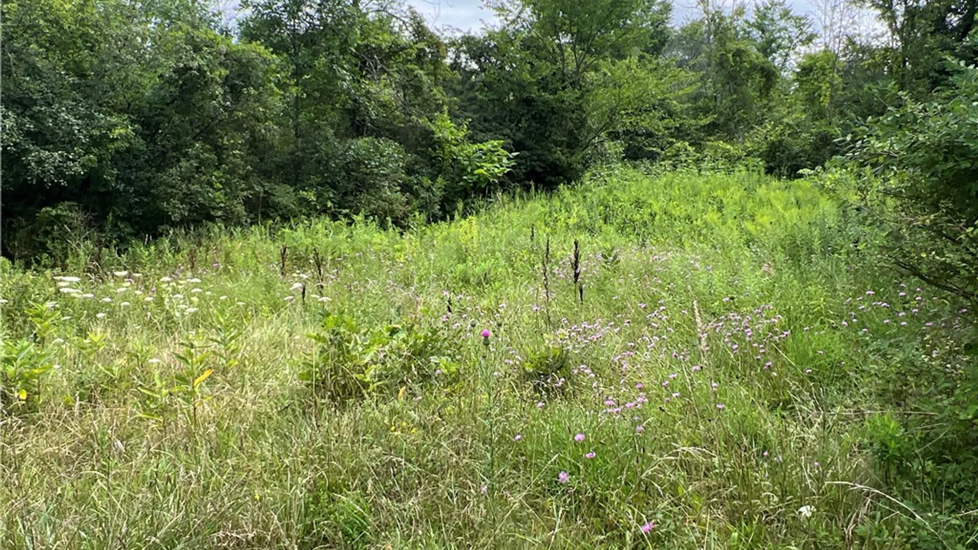 Property at 2853 Hartland Road, Hartland, NY 14067 7