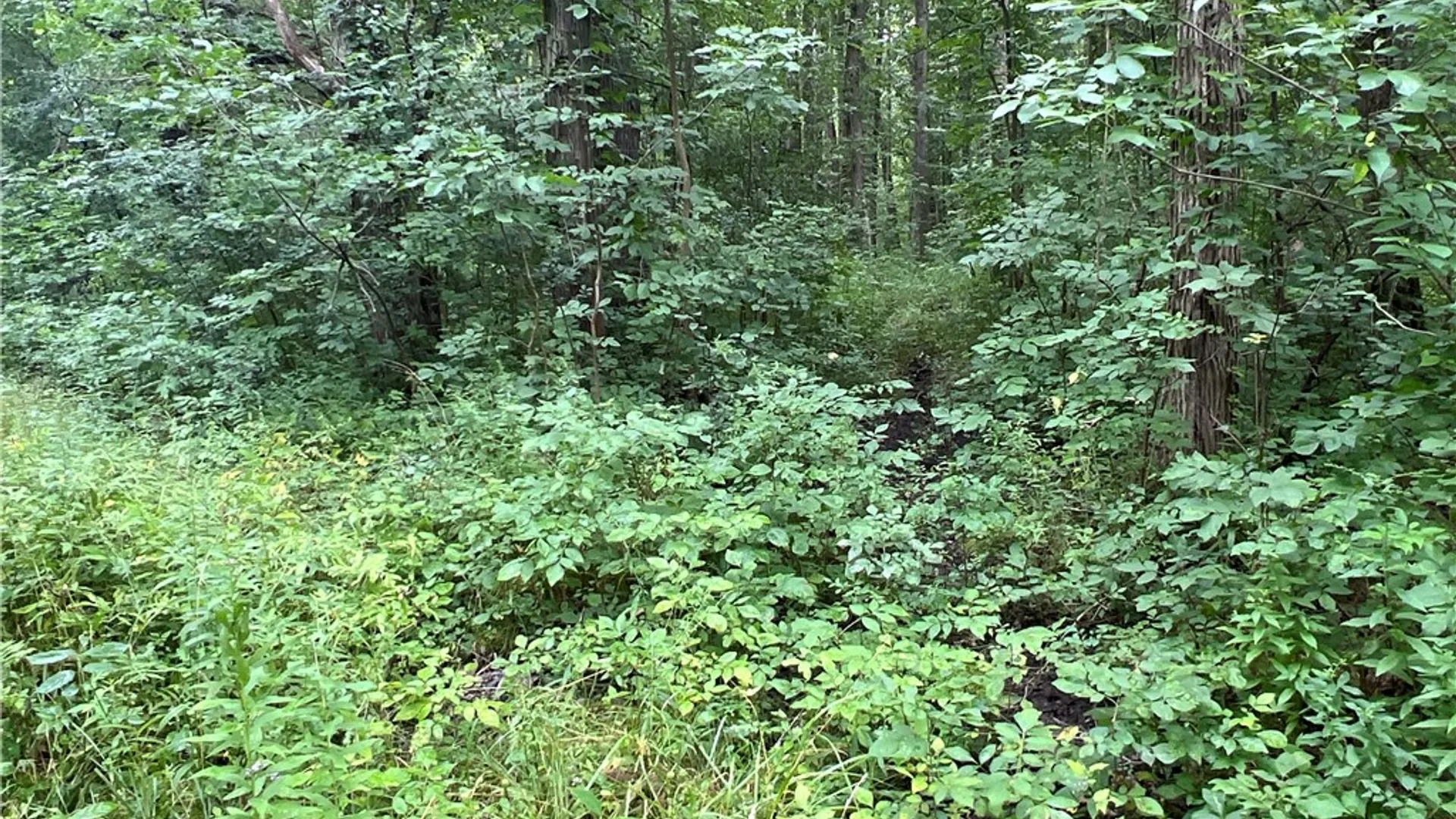 Property at 2853 Hartland Road, Hartland, NY 14067 9
