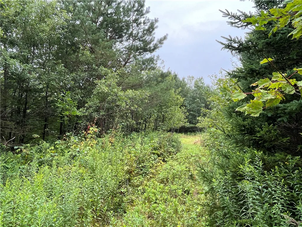 Property at 00 Level Green Road, Caroline, NY 13736