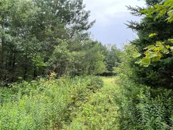 Property at 00 Level Green Road, Caroline, NY 13736