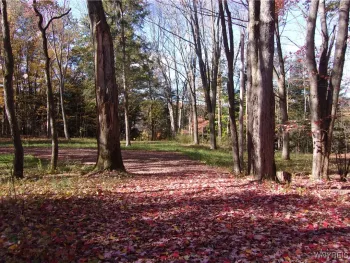 Property at 8871 Russell Road, Rushford, NY 14777