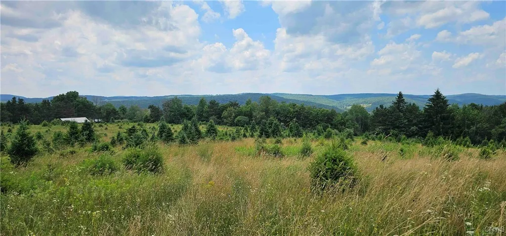 Property at 217 Sherder Road, Maine, NY 13760
