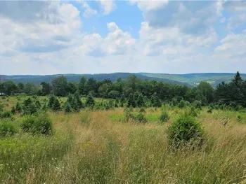 Property at 217 Sherder Road, Maine, NY 13760