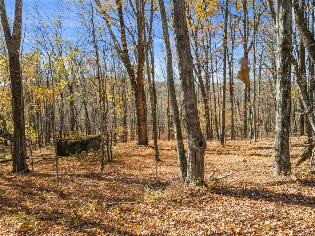 Property at L3.9 McMurdy Hill Road, Kortright, NY 13739