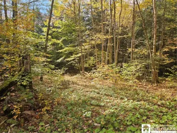 Property at 0 Sawmill Run Road, Cold Spring, NY 14783
