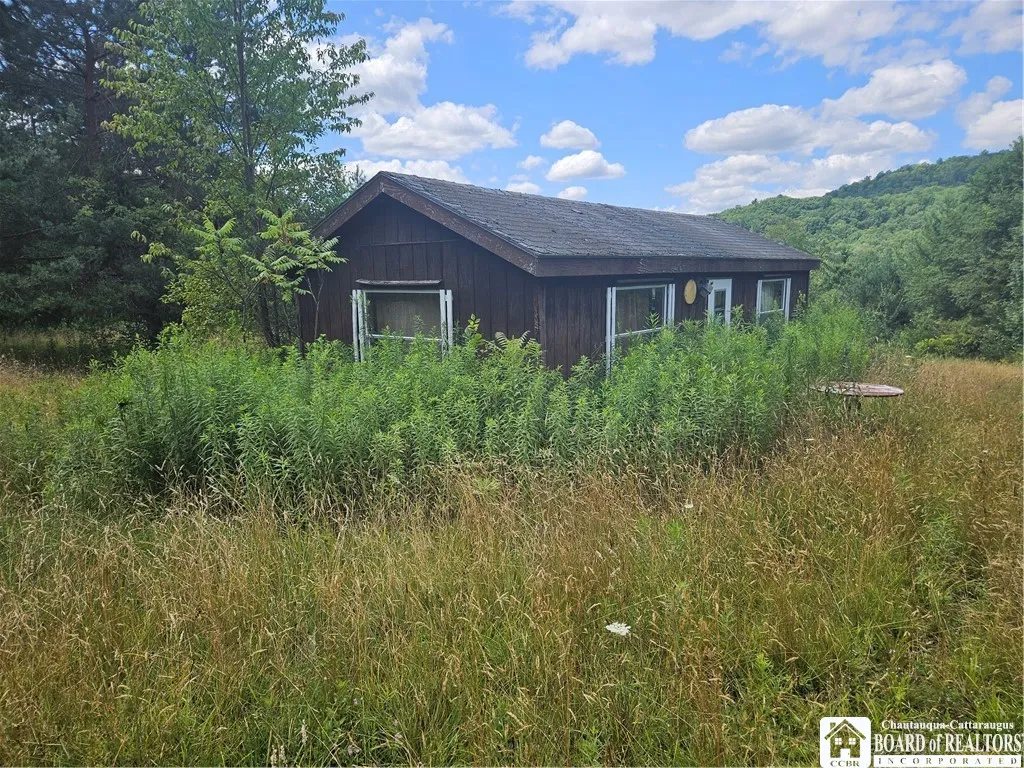 Property at 0 Whig Street, Little Valley, NY 14779