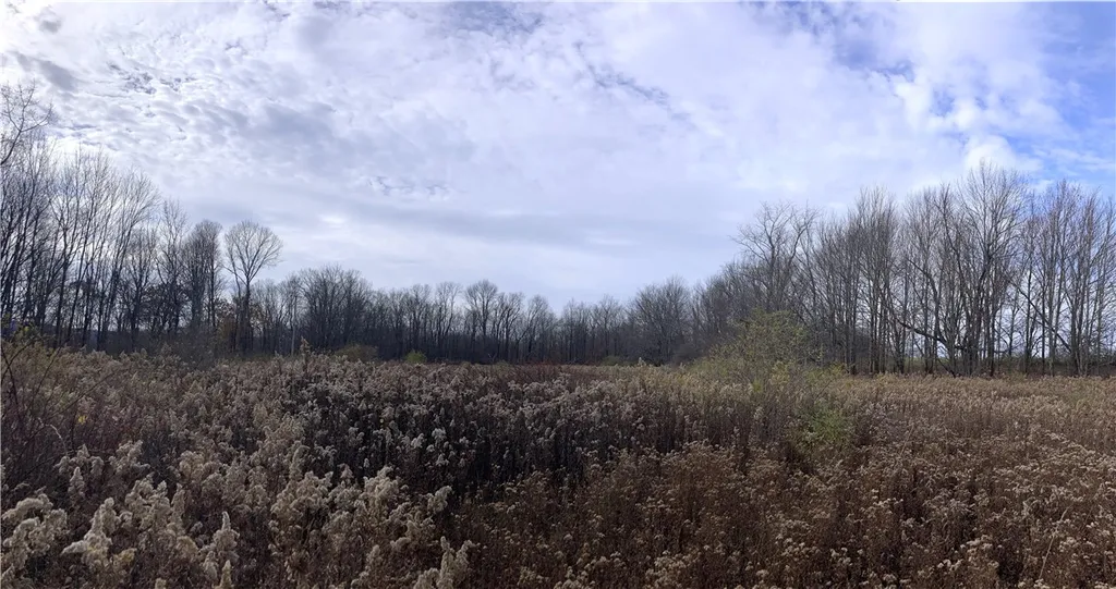 Property at Ed Klug Road, Franklin, NY 13775