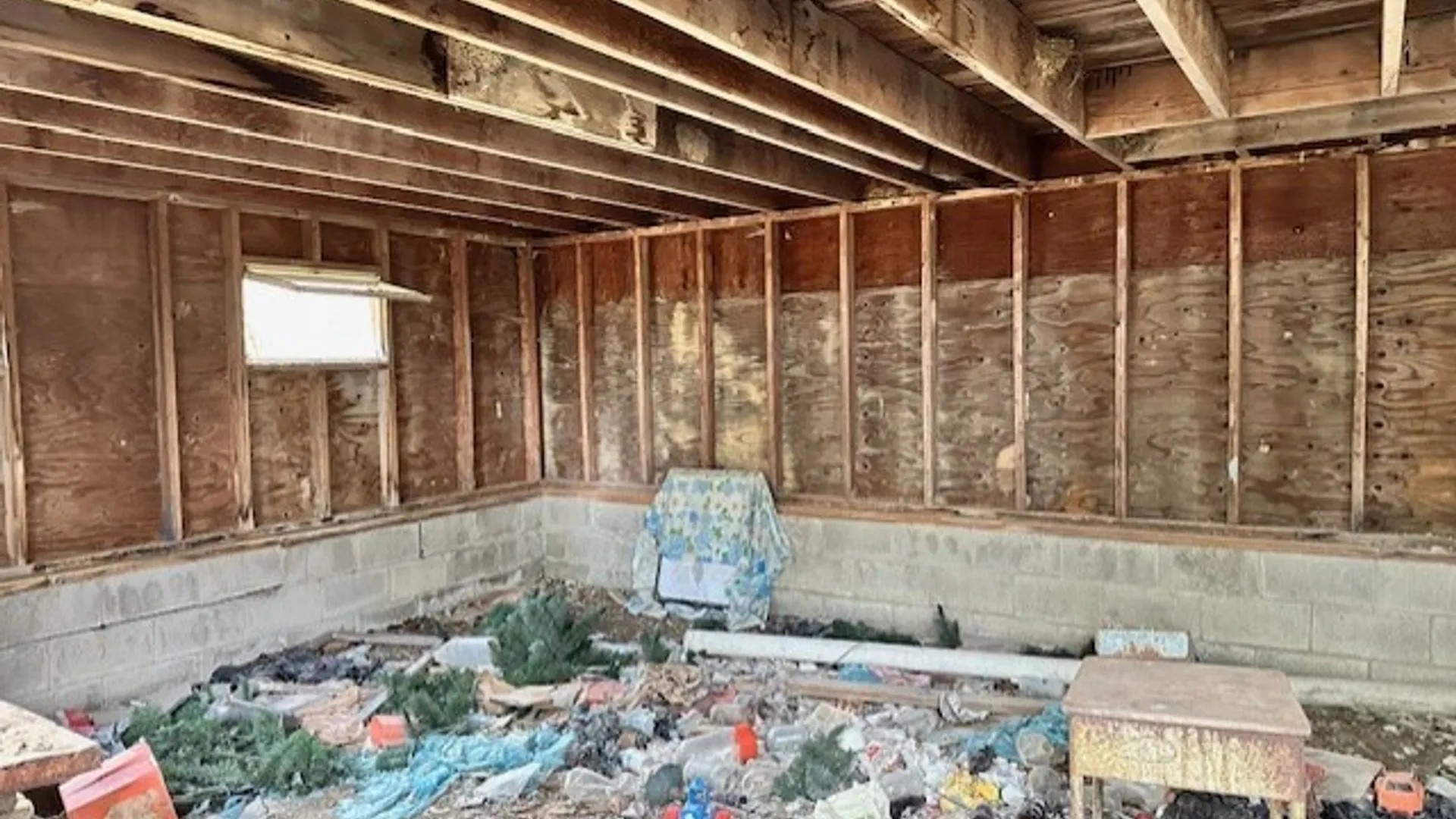 Property at 8379 Green Road, West Sparta, NY 14437 6