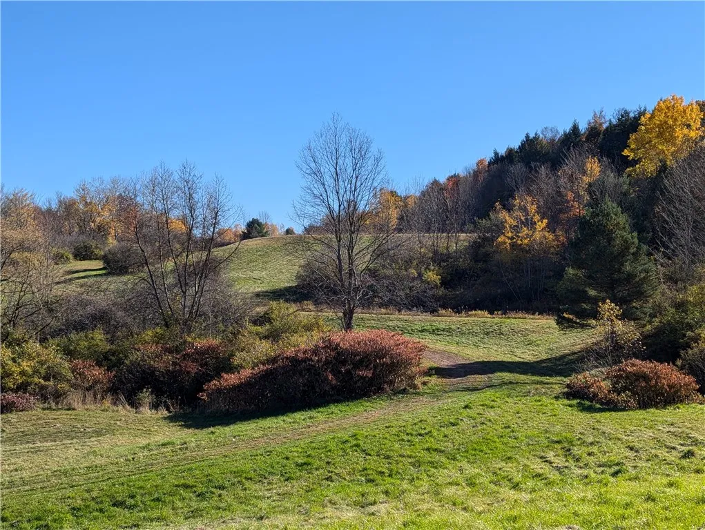 Property at 0 Dunshee Hill Road, Sidney, NY 13839