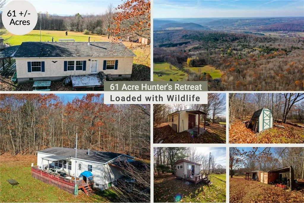 Property at 1305 Vandervort Hill Road, Sidney, NY 13849