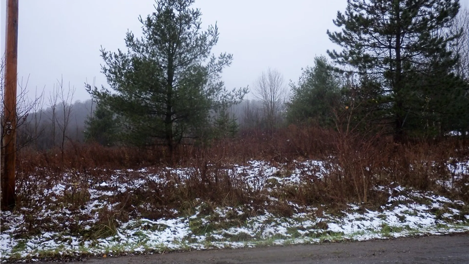 Property at Hardy Crn Road, Farmersville, NY 14737 3