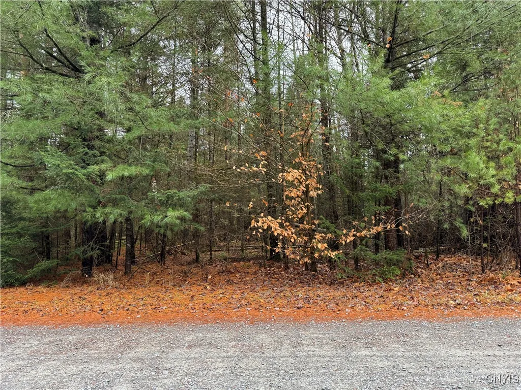 Property at Lot #3 Black Bear Bend, Boonville, NY 13301