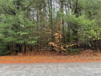 Property at Lot #3 Black Bear Bend, Boonville, NY 13301