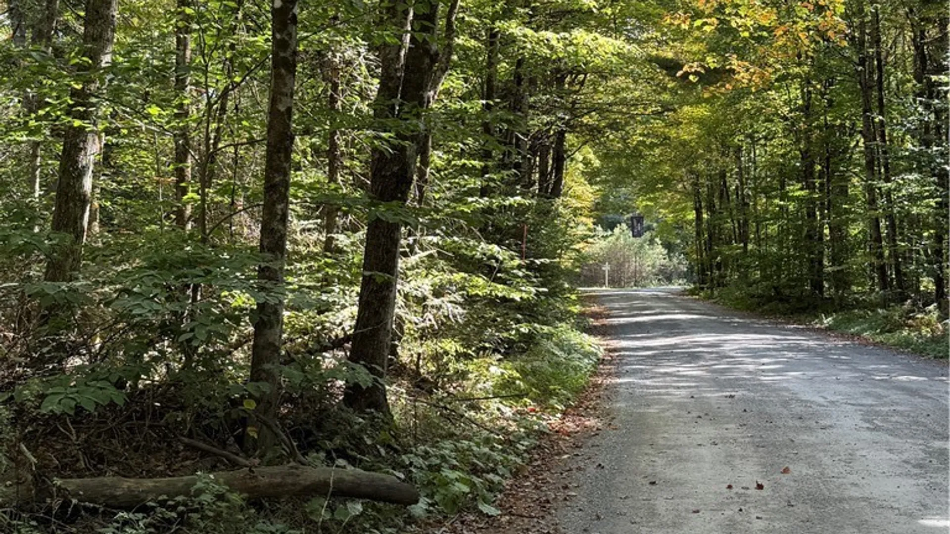 Property at Lot #1 Beaver Trail, Boonville, NY 13301 8