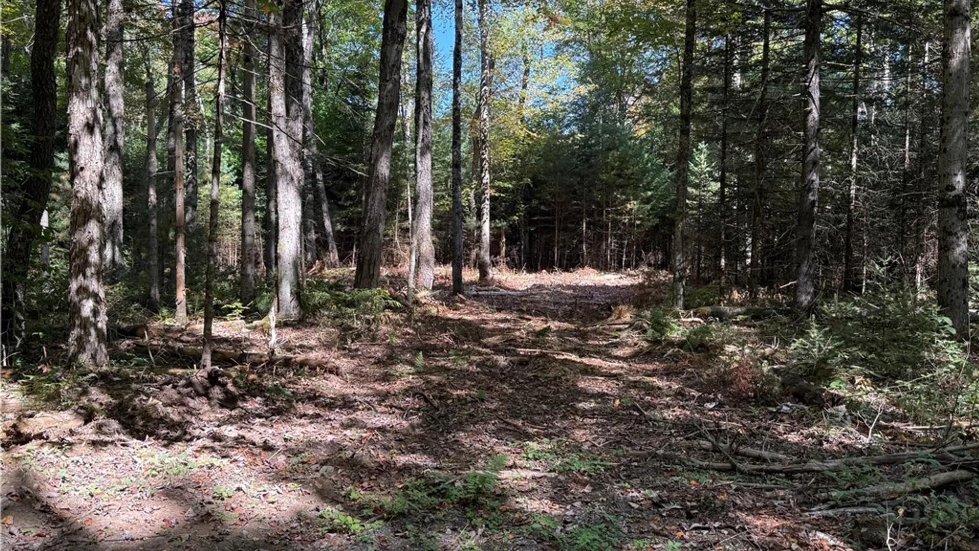 Property at Lot #1 Beaver Trail, Boonville, NY 13301 9